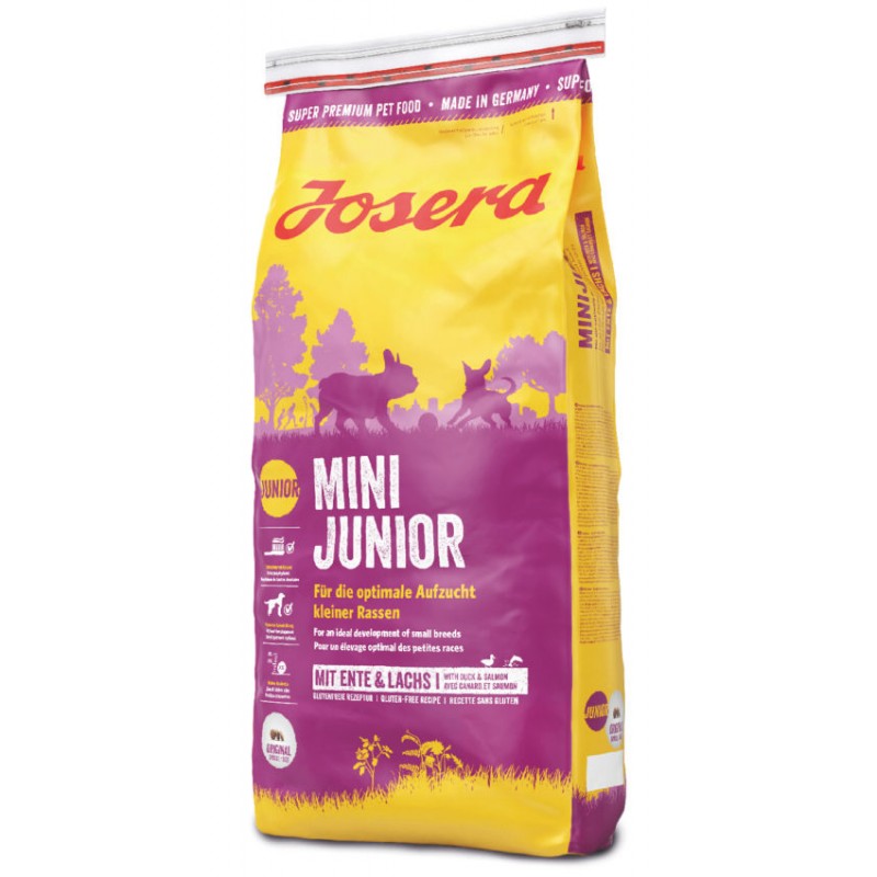 Mini Junior